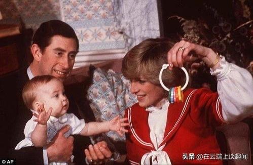 戴安娜给记者爆料视频大全,揭秘王室幕后真相